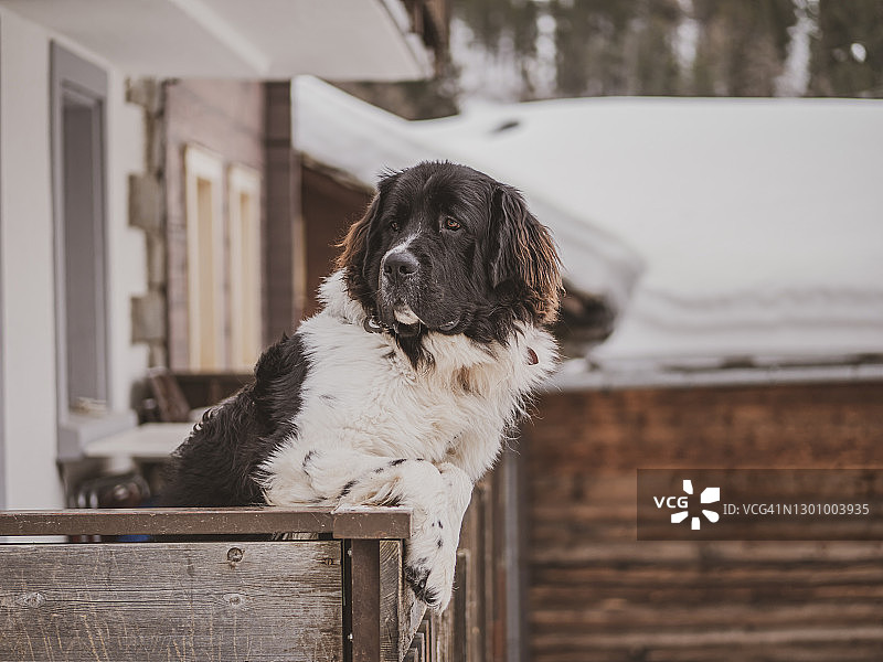 瑞士萨斯费的高山村庄图片素材