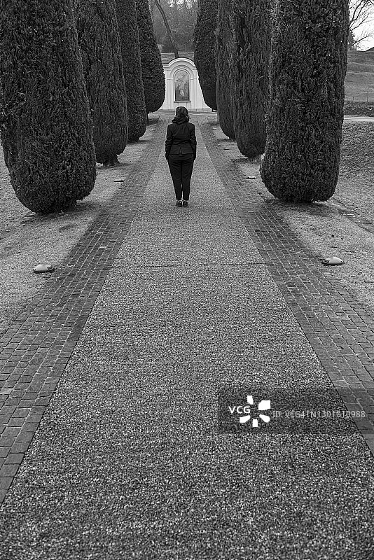 站在柏树走道上的女人图片素材