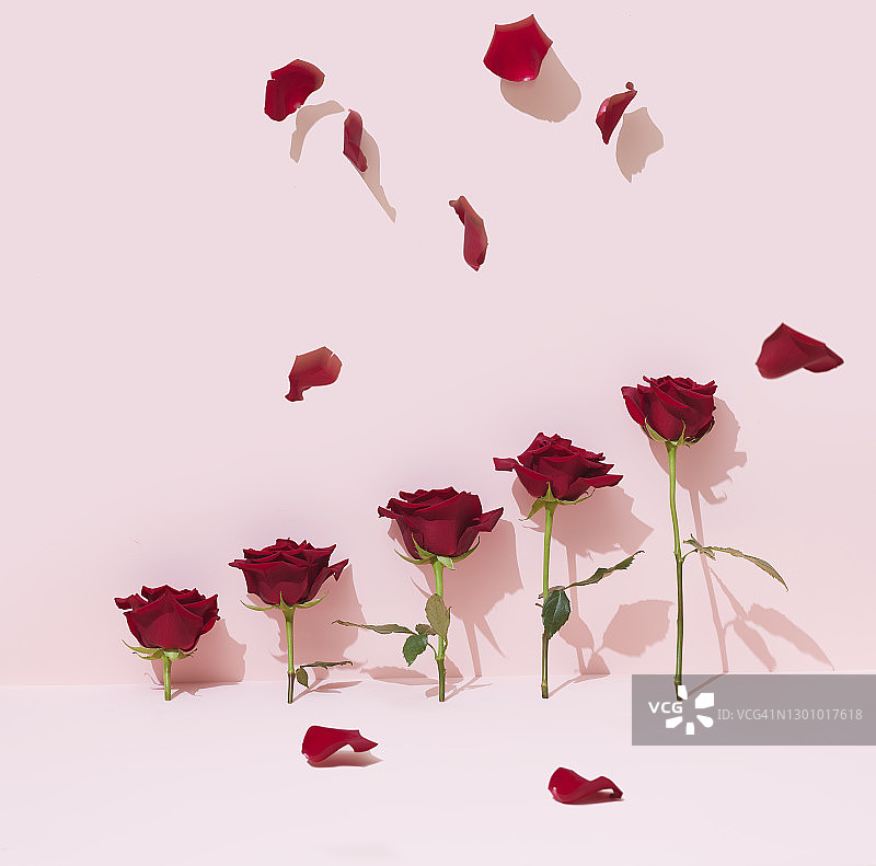 汽车安全运货车轮廓图标集图片素材