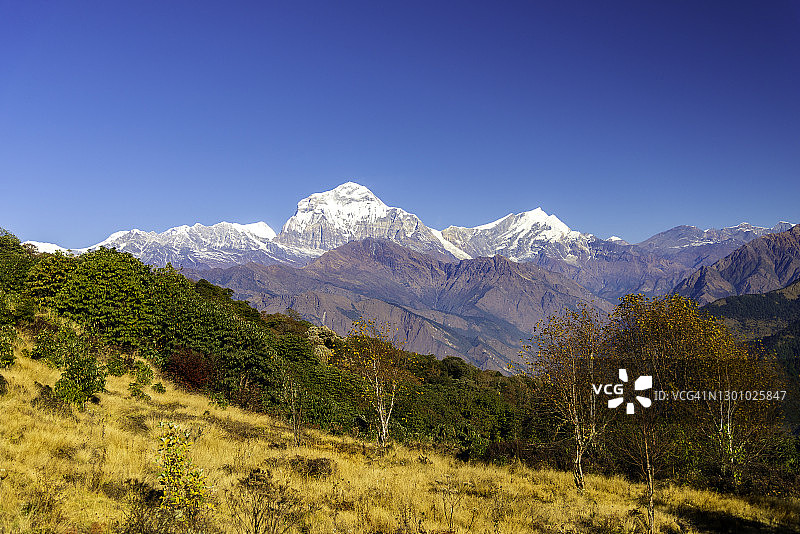 从普恩山 viewpoint 观赏道拉吉里峰，尼泊尔图片素材