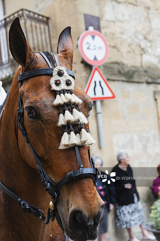 西班牙节日盛装打扮的马图片素材