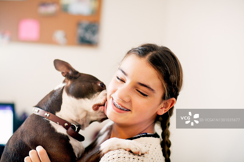 和波士顿梗犬玩耍的少女图片素材