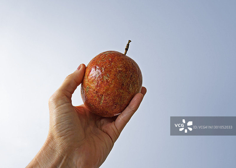 明亮背景下手持红色百香果图片素材