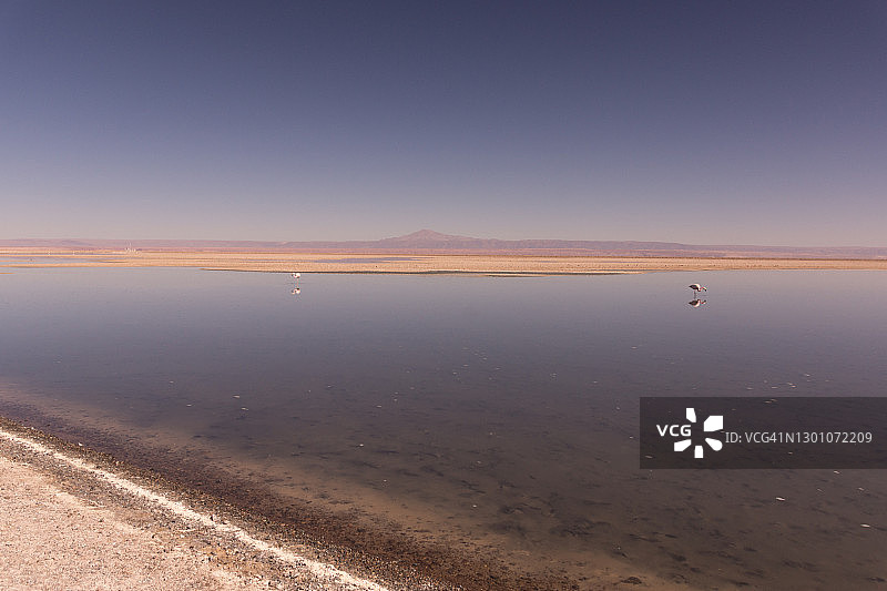 智利阿塔卡马沙漠查哈泻湖图片素材