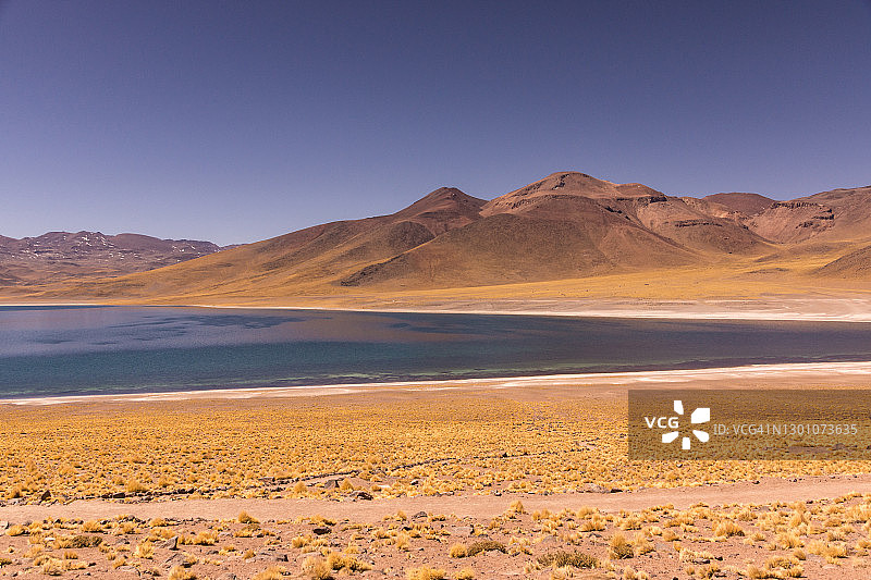 智利阿塔卡马沙漠的拉古纳米斯坎蒂高山湖图片素材