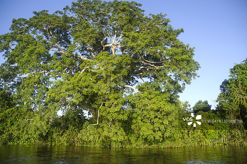 奥里诺科河-南美洲大河图片素材