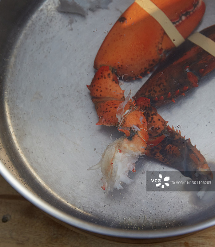 焯水龙虾钳图片素材