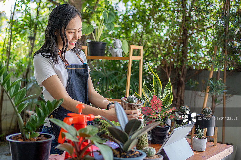 年轻女子在线销售各种多肉植物图片素材