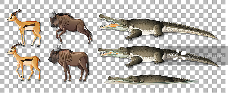 一组非洲野生动物透明背景素材图片素材