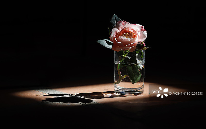 光线下的玻璃水珠玫瑰装饰图片素材