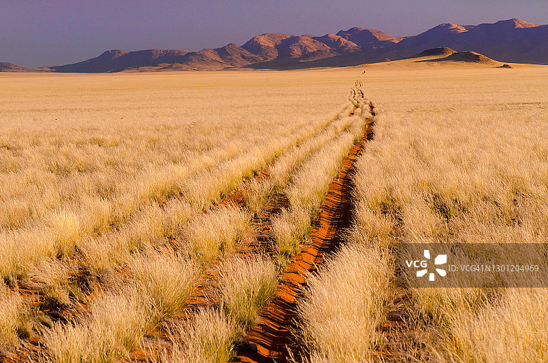 沙漠足迹图片素材