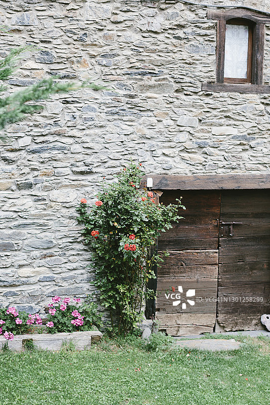 植物鲜花装饰的房屋外墙图片素材