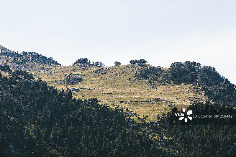 松树蓝天山景图片素材