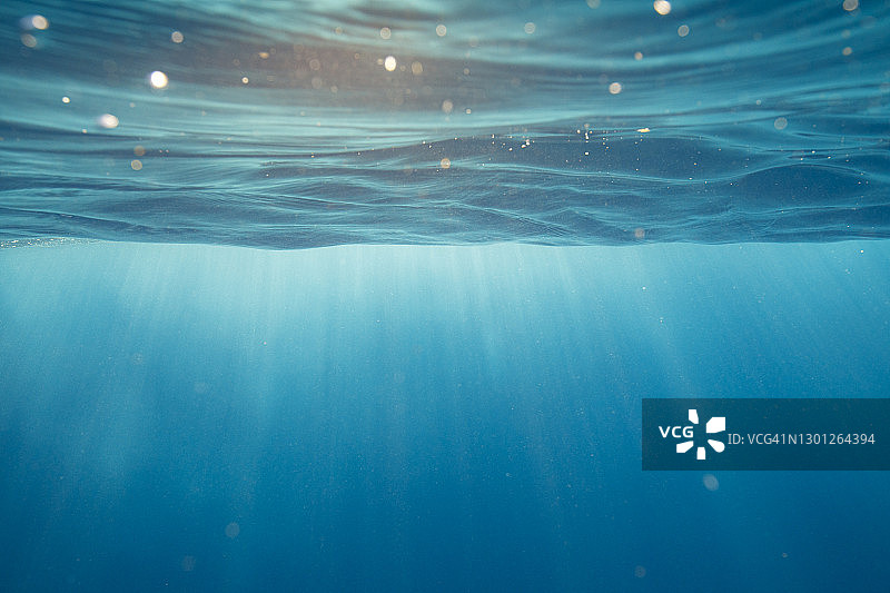 清澈的蓝绿色海洋，光线穿透水面图片素材