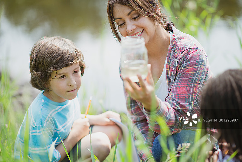 看看我们抓到的昆虫！图片素材