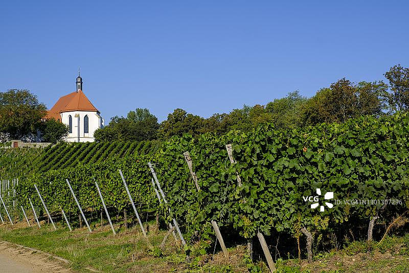 德国巴伐利亚葡萄园与教堂图片素材