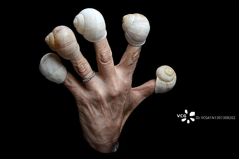 手和蜗牛壳，法国图片素材