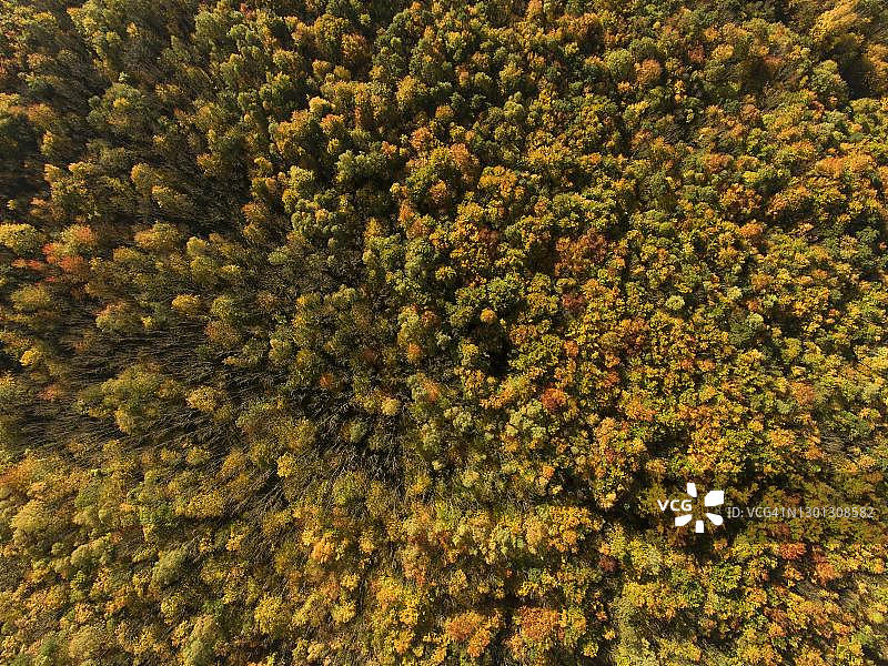 德国图林根州 海尼希国家公园鸟瞰秋景图片素材