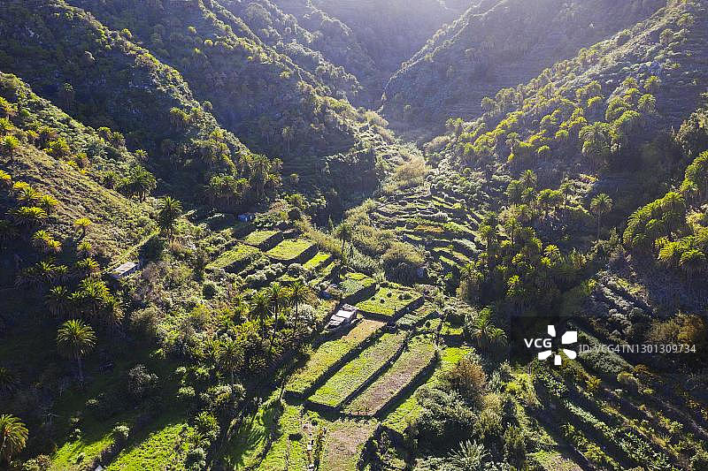 西班牙戈梅拉岛埃尔米瓜附近的梯田航拍影像图片素材