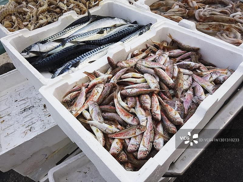 意大利特拉尼港鱼市图片素材