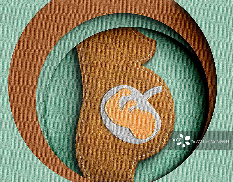 女性怀孕的毛毡图像，胎儿的概念图像图片素材