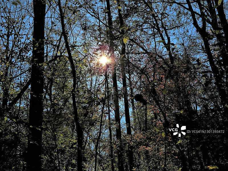 塞尔玛·欧文步道日落图片素材