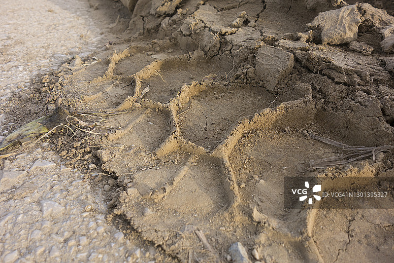 泥路上的越野轮胎痕迹图片素材