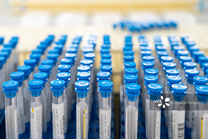 实验室里的成排试管图片素材