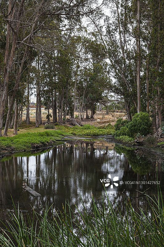 莫罗海岸奥杜邦协会甜泉自然保护区图片素材