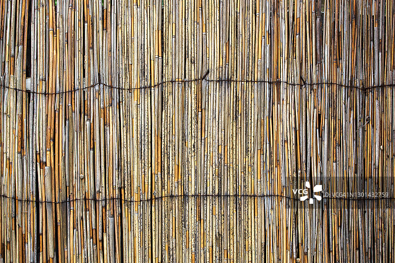 芦苇杆纹理图片素材