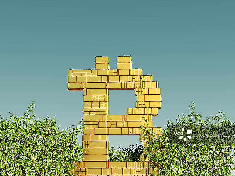 丛林中的金色比特币图片素材