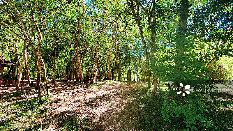 巴西南里奥格兰德州塞罗拉戈乡村风光图片素材