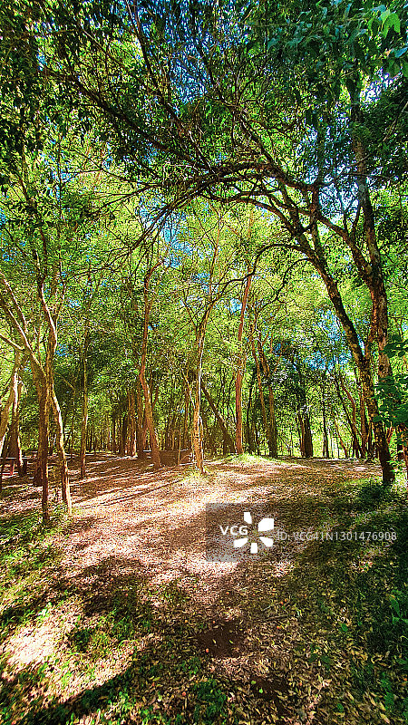 巴西南里奥格兰德州塞罗拉戈乡村风光图片素材