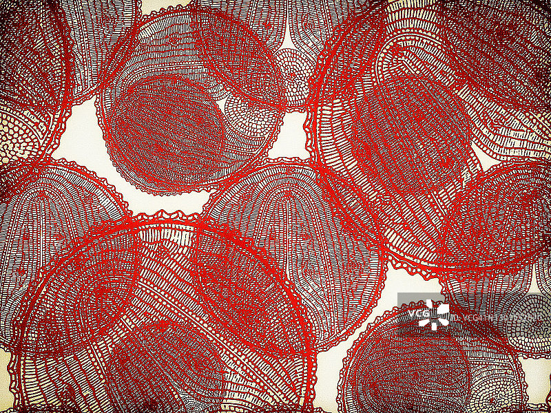 病毒细胞示意图图片素材