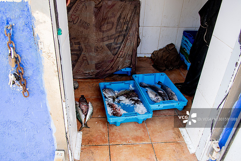 托盘里的鱼图片素材