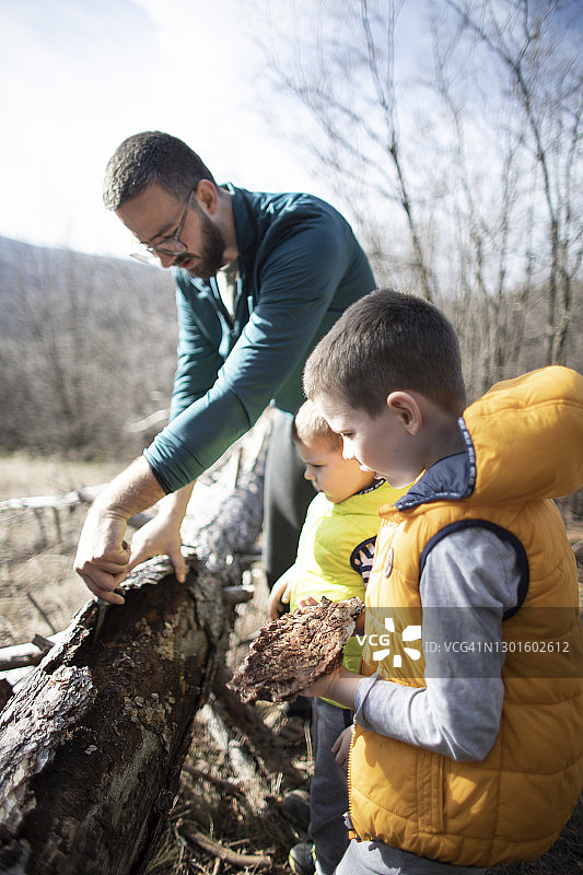 孩子们和爸爸一起探索森林图片素材