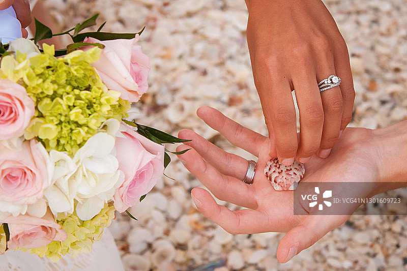 新娘和新郎手上的戒指特写，背景是地上的海滩贝壳图片素材