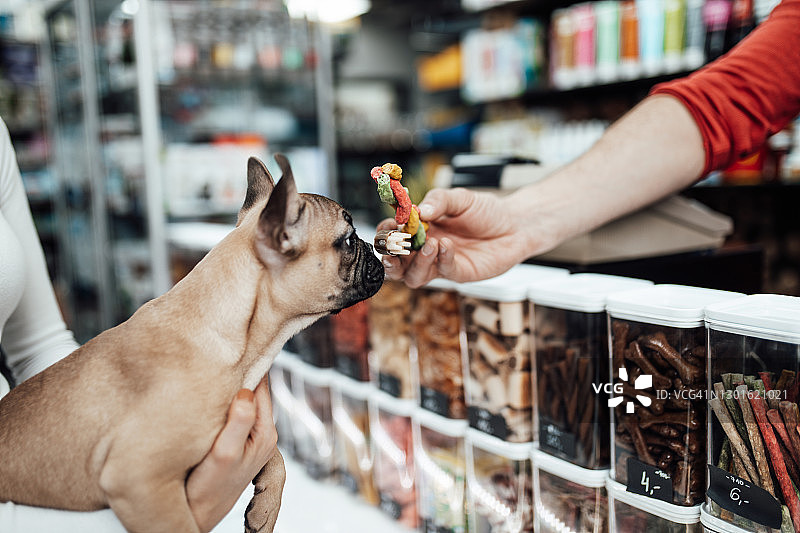 在宠物店里的女人图片素材
