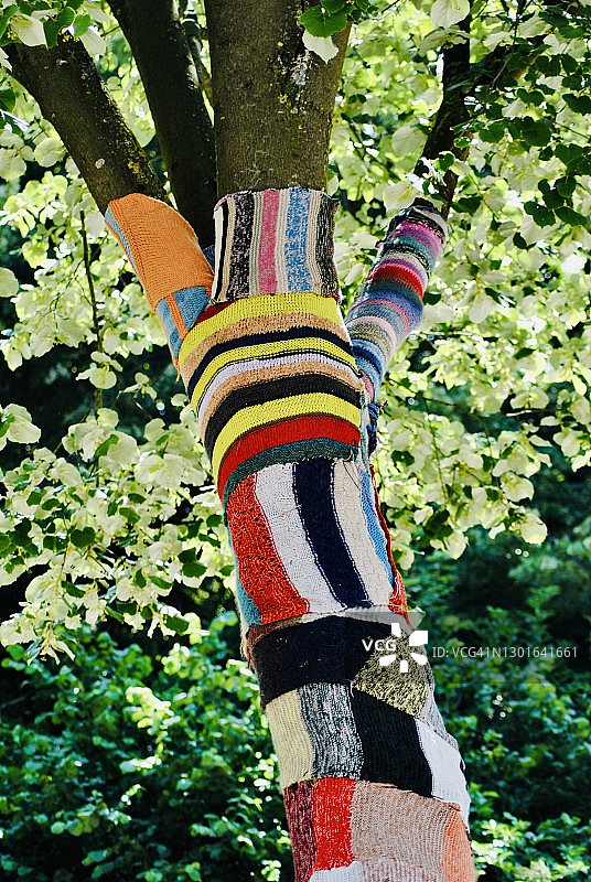 为树木准备的彩色针织围巾图片素材