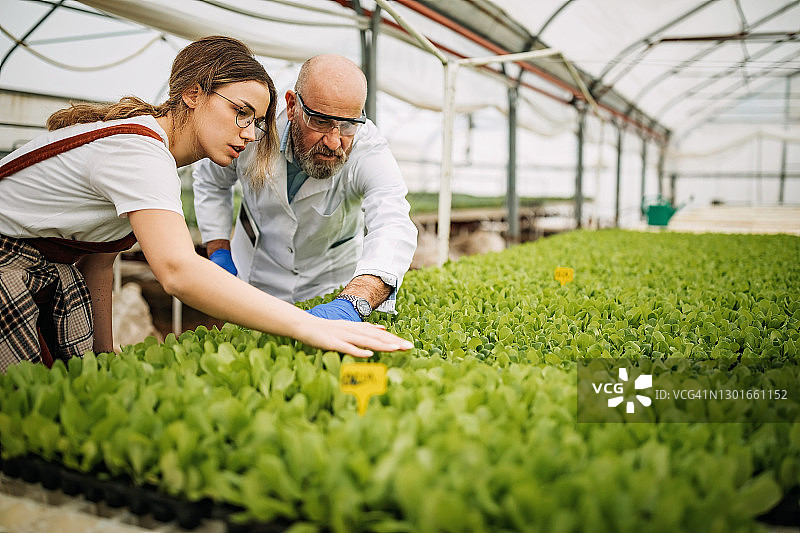 我们做到了图片素材
