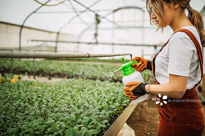 家庭农场上的妇女图片素材