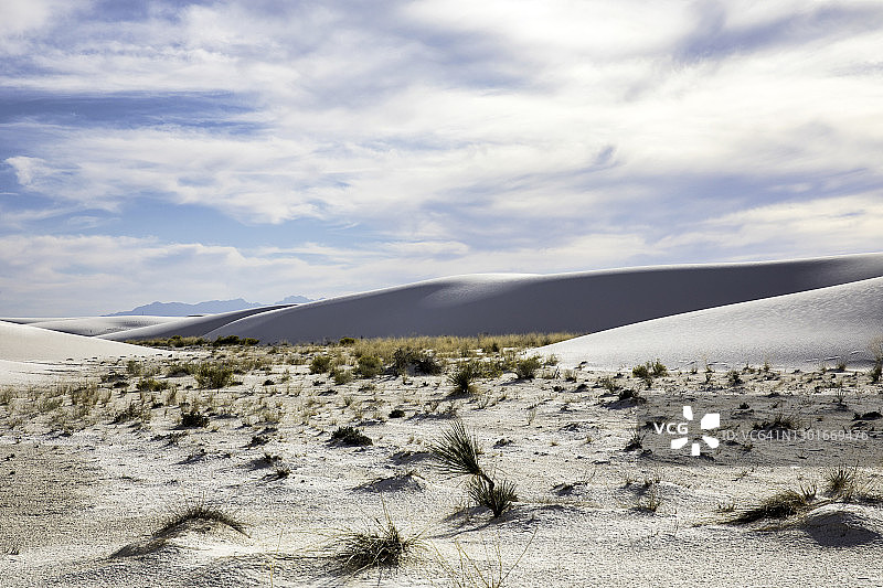 白沙国家公园的沙丘图片素材