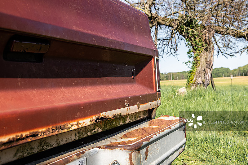特写：明媚夏日，田野里有树的经典卡车后侧视图图片素材