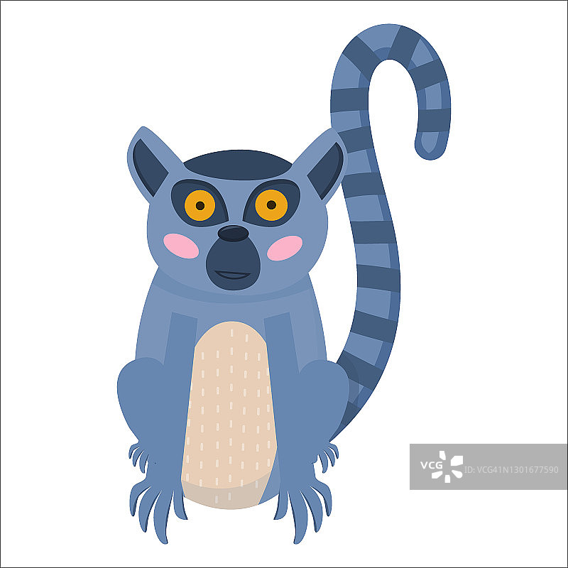 马达加斯加动物：大眼睛条纹尾巴的狐猴图片素材