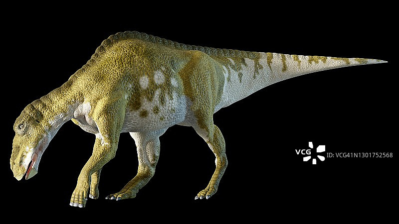 雌性埃德蒙顿龙的艺术作品图片素材