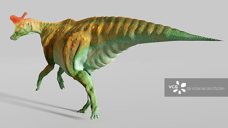 赖氏龙的艺术图图片素材