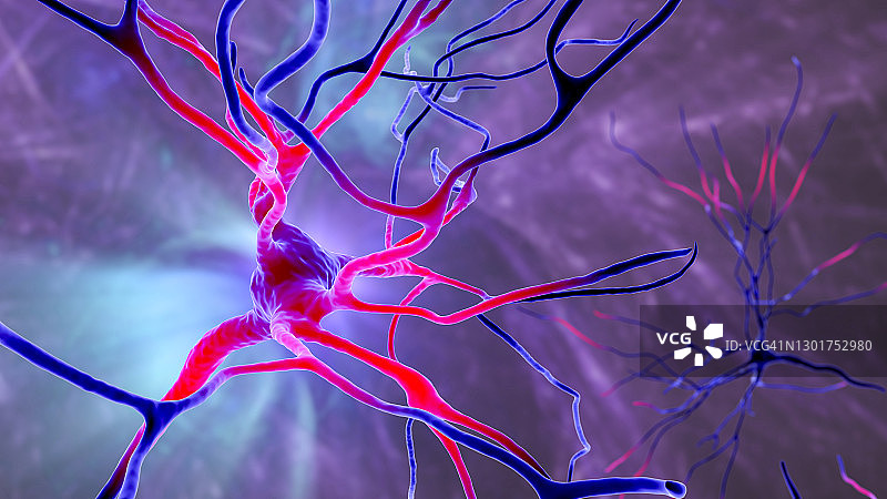 人脑神经细胞图图片素材