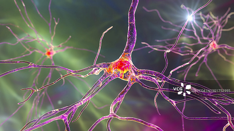 人脑神经细胞图图片素材
