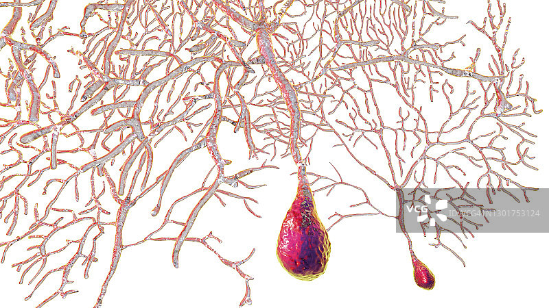 浦肯野神经细胞插图图片素材
