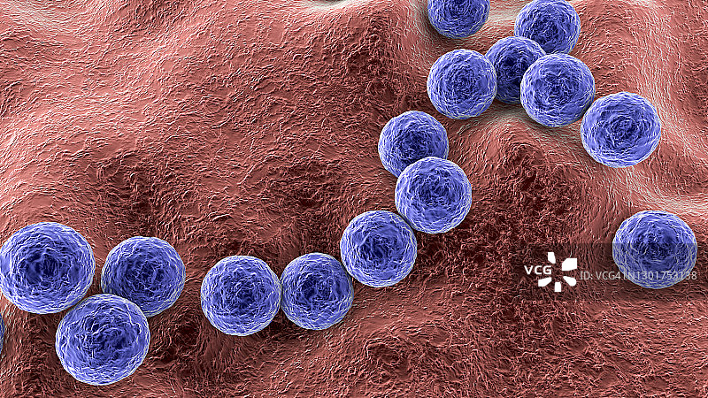 化脓性链球菌细菌，图示图片素材